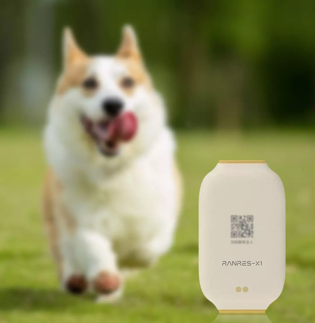 90ce255f 95da 456d 962a 35d41362d186