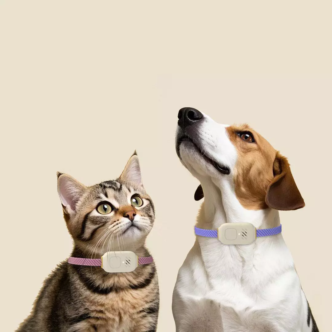 fccc5e99 dc59 4f09 9144 3a39a3ebc7a7