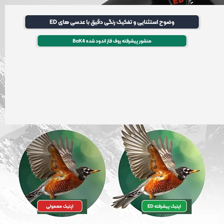 تفکیک دقیق رنگ ها با شیشه های ED دوربین دوچشمی جالیکا